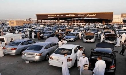 مکاتبه ضیغمی با واردکنندگان خودرو: برنامه واردات را اعلام کنید