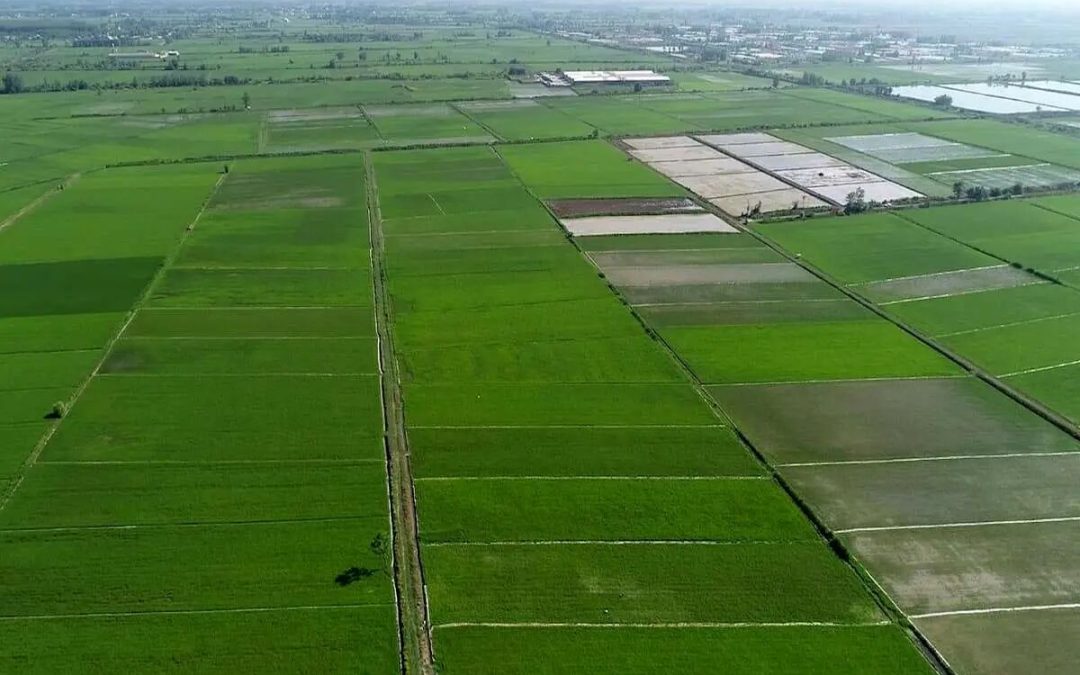 حدنگاری رایگان زمین‌های کشاورزی فقط تا پایان امسال است