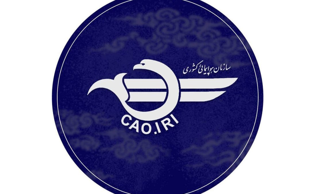 توضیحات هواپیمایی کشوری درباره برخورد پرنده با هواپیمای فوق سبک شخصی