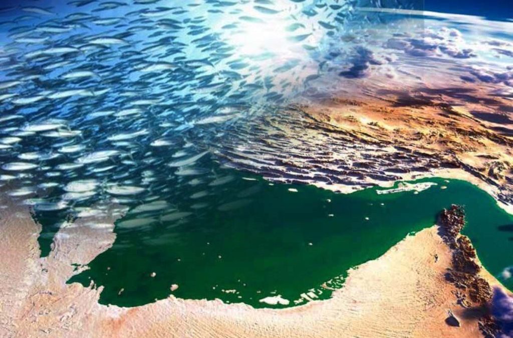 تولید آبزیان در سند ۱۰ ساله ۲ میلیون و ۶۰۰ هزار تن پیش‌بینی شده است‌
