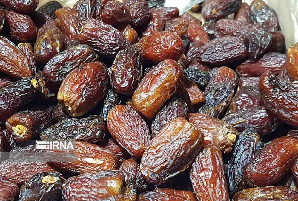 تولید یک میلیون و ۶۶۰ هزار تن خرما در سال جاری