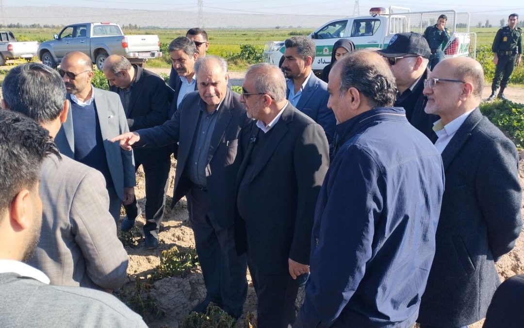 عضو هیات رییسه مجلس: خسارت بخش کشاورزی طی ۱۵ سال اخیر جبران نشده است