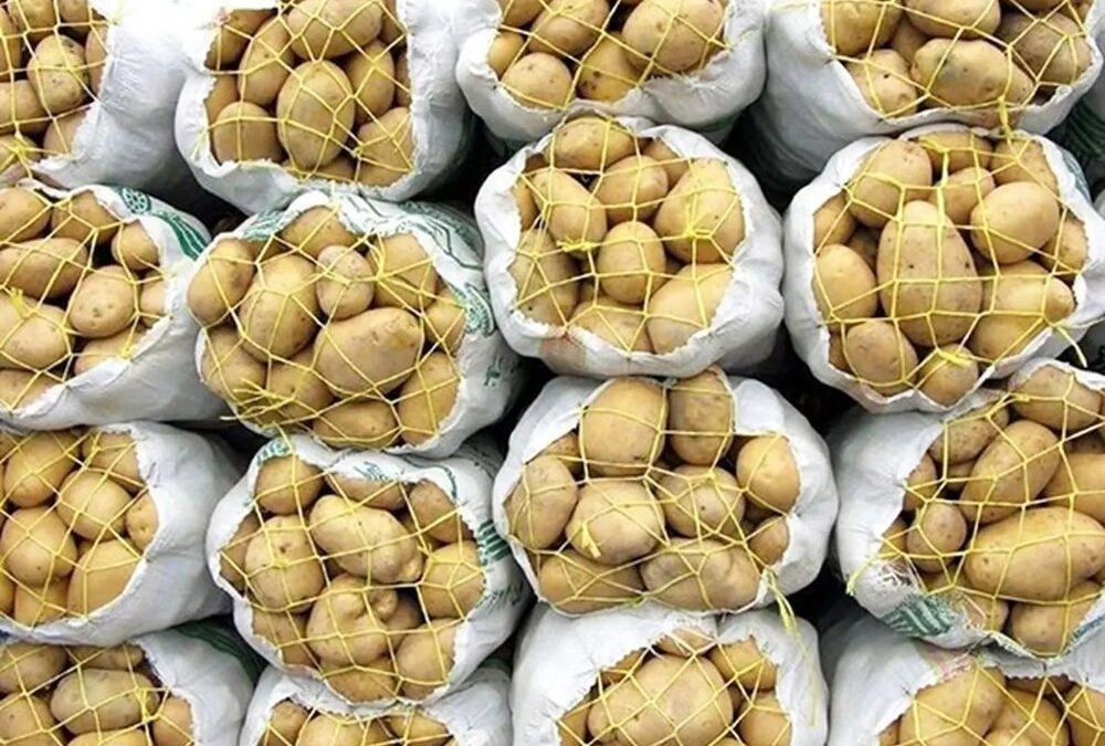 ممنوعیت صادرات سیب زمینی به مدت ۲ ماه