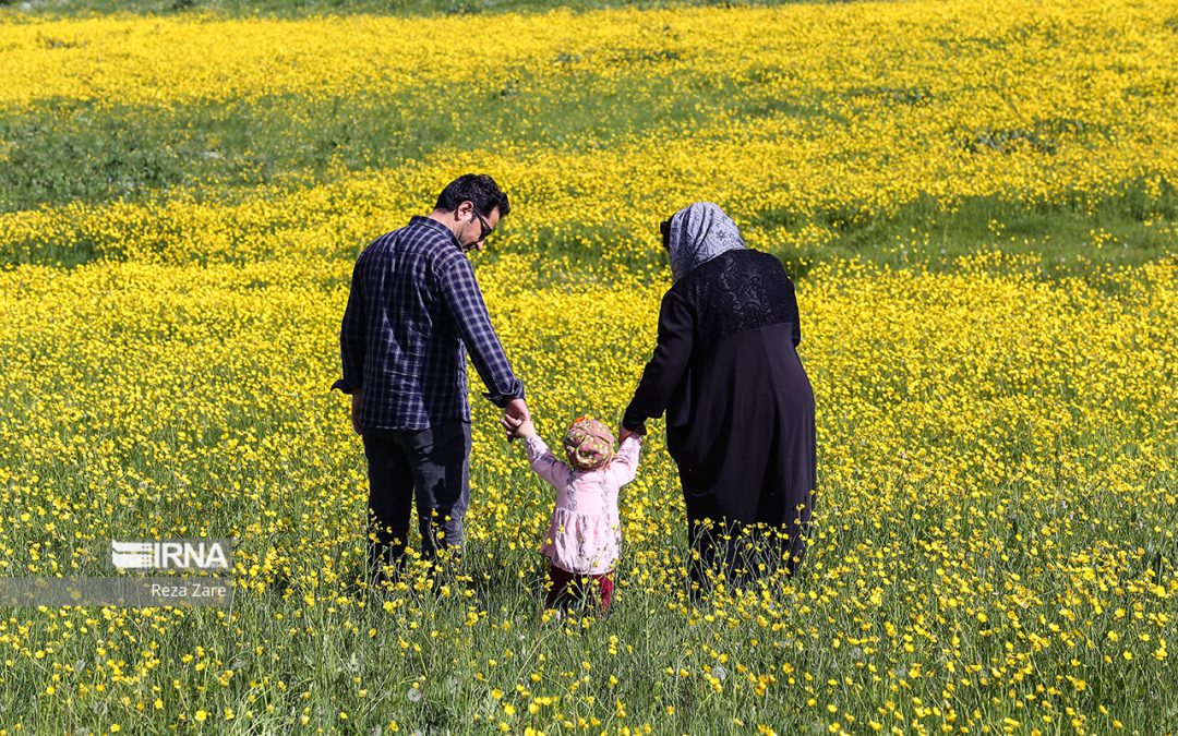 ادامه حیات فرزند، شرط بهره مندی از وام فرزندآوری نیست
