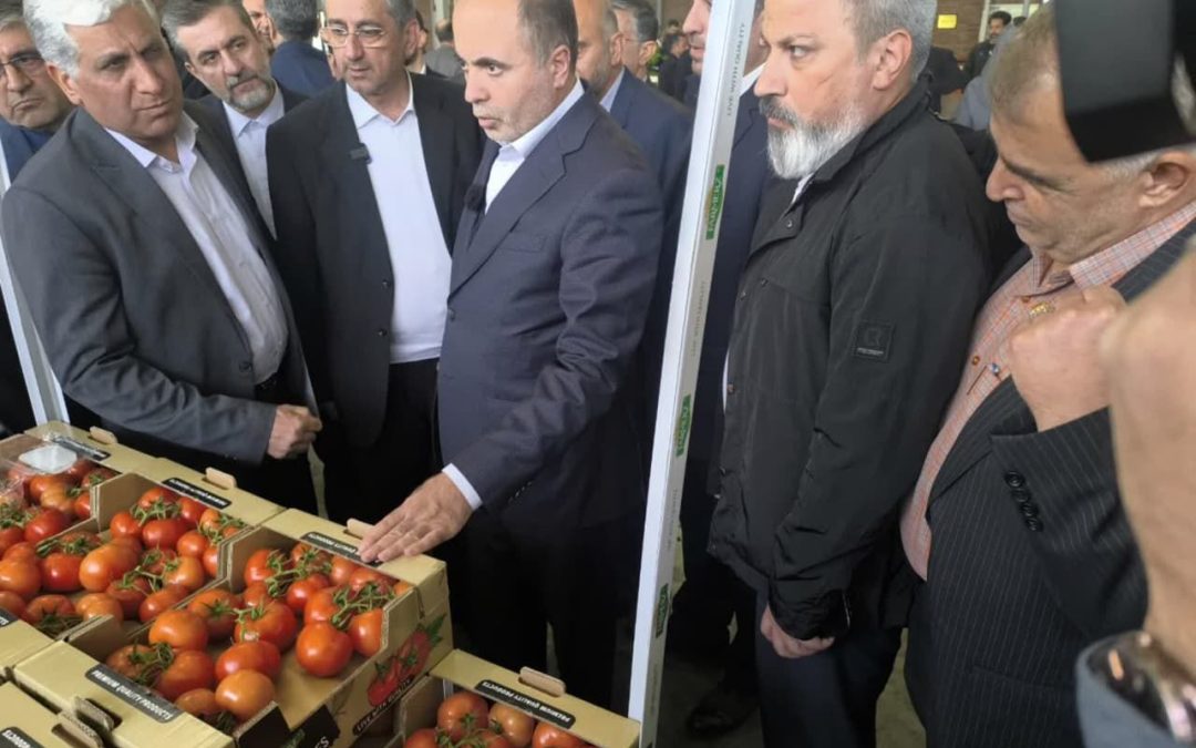 بازدید سرزده وزیر جهاد کشاورزی از بازار عرضه عمده گوشت و مرغ پایتخت