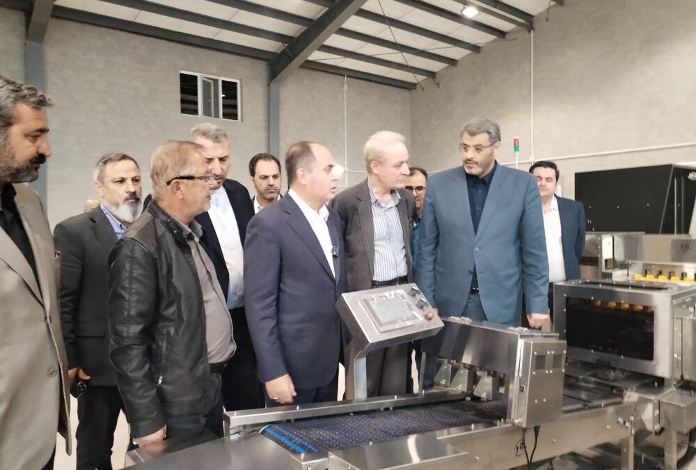 وزیر جهاد کشاورزی از دو طرح کشاورزی در ورامین بازدید کرد