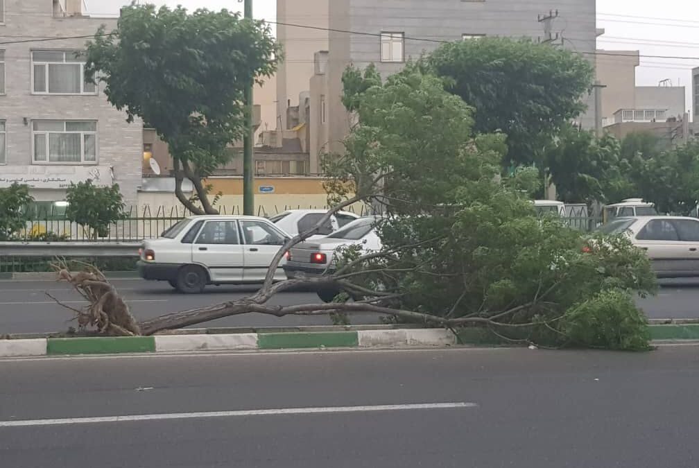 سرعت طوفان تهران به ۱۰۸ کیلومتر بر ساعت رسید 