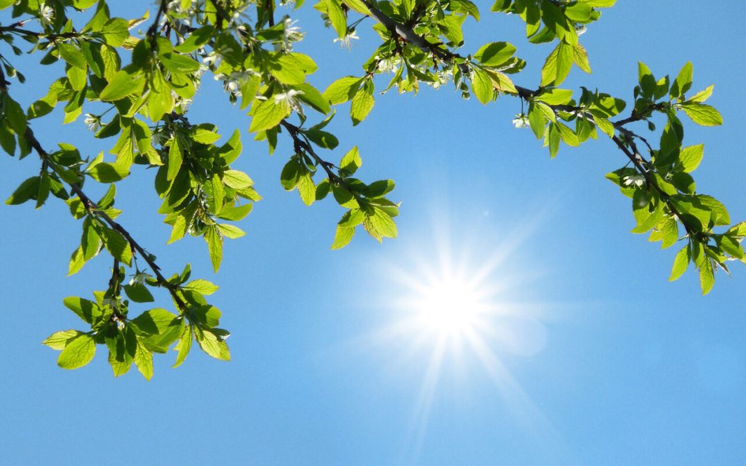 افزایش تدریجی دما در اغلب مناطق/ ورود گردوخاک از جنوب غرب