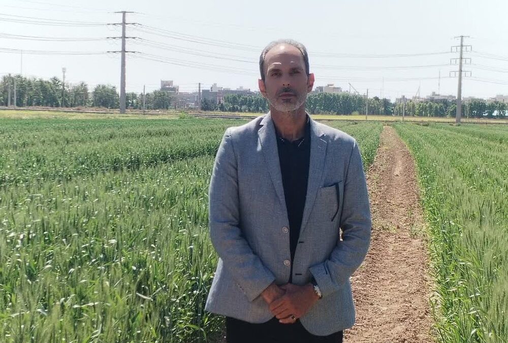 ایستگاه پژوهشی ورامین؛ سایت‌ معرفی ارقام گندم و جو در اقلیم معتدل