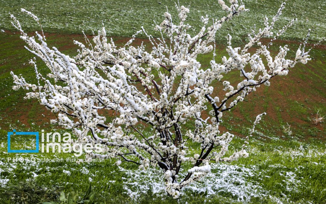 دریاچه ارومیه این هفته پرباران‌ترین حوضه آبی کشور است