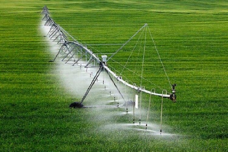 نوروزی: از کشاورزان برای اجرای شیوه‌های جدید آبیاری حمایت شود