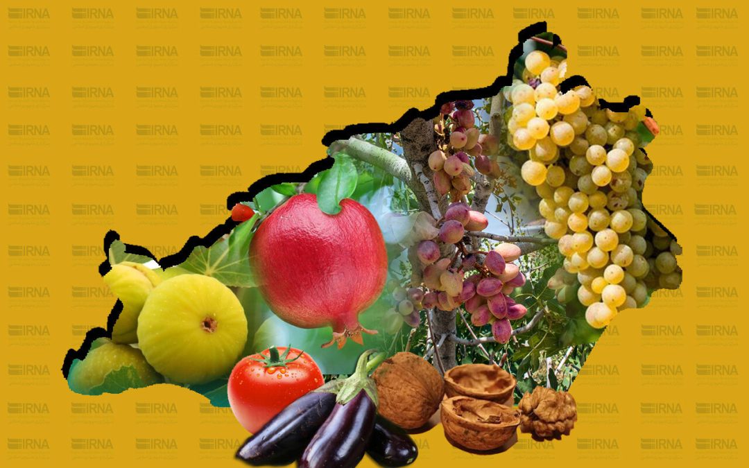«تحقیق برای توسعه» راهبرد تحول در کشاورزی سمنان + فیلم